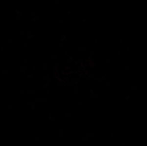 Meet your Posher, Daniela